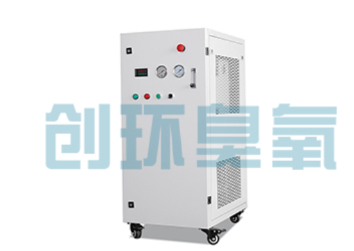 泸州石斑鱼养殖水质调控完整指南：臭氧发生器配置与操作步骤
