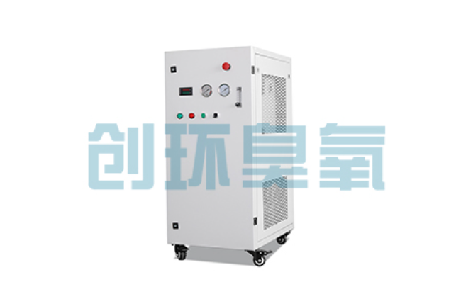 泸州比传统换水更高效？臭氧发生器在石斑鱼养殖中的水质净化原理解析