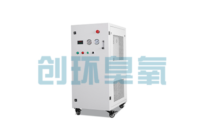 泸州比传统换水更高效？臭氧发生器在石斑鱼养殖中的水质净化原理解析